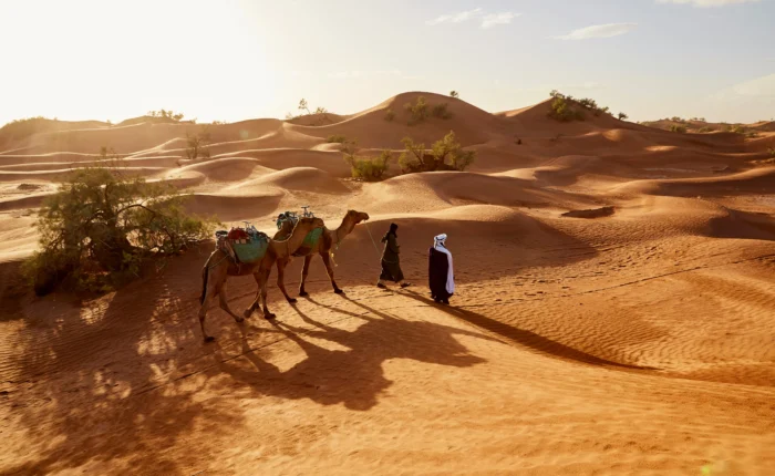 Things to do in Morocco