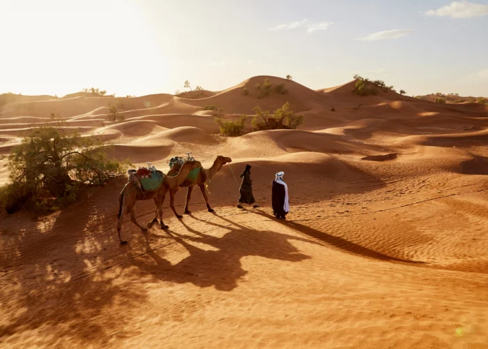 Things to do in Morocco
