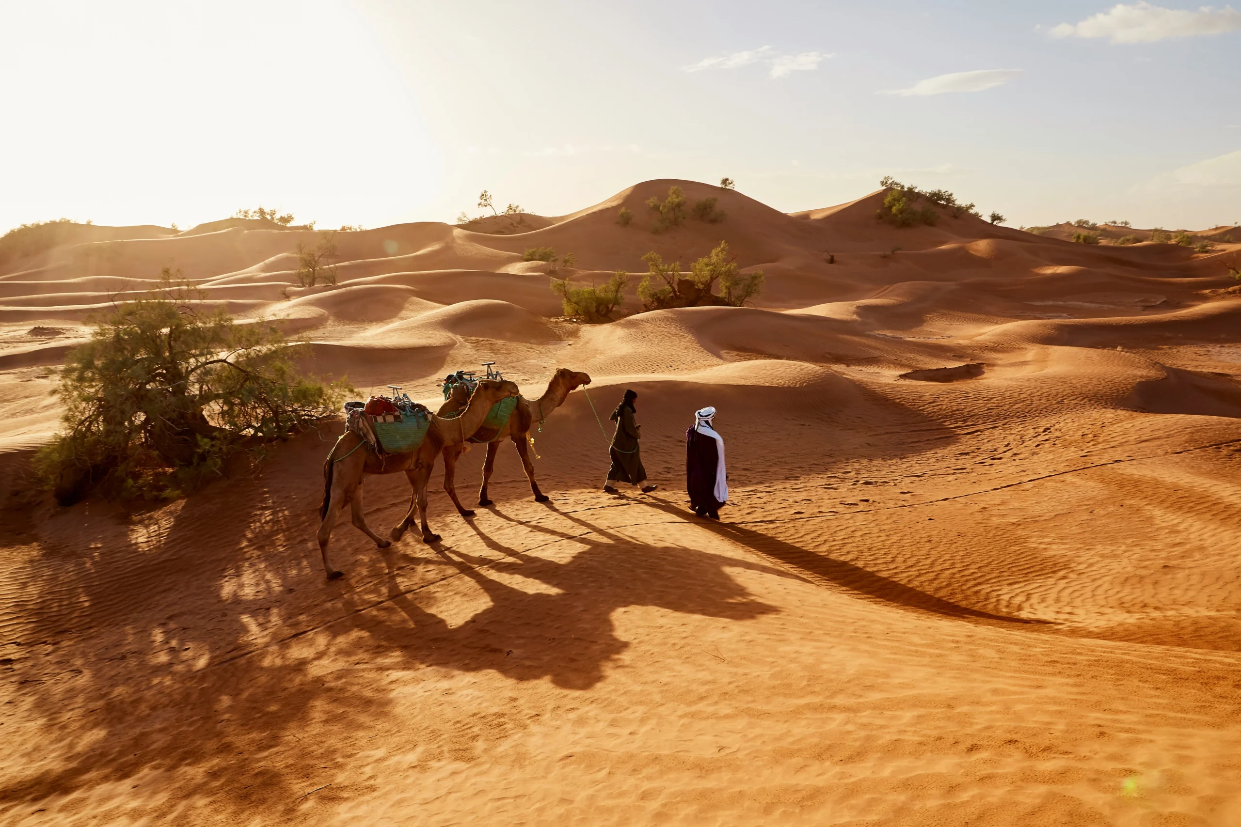 Things to do in Morocco