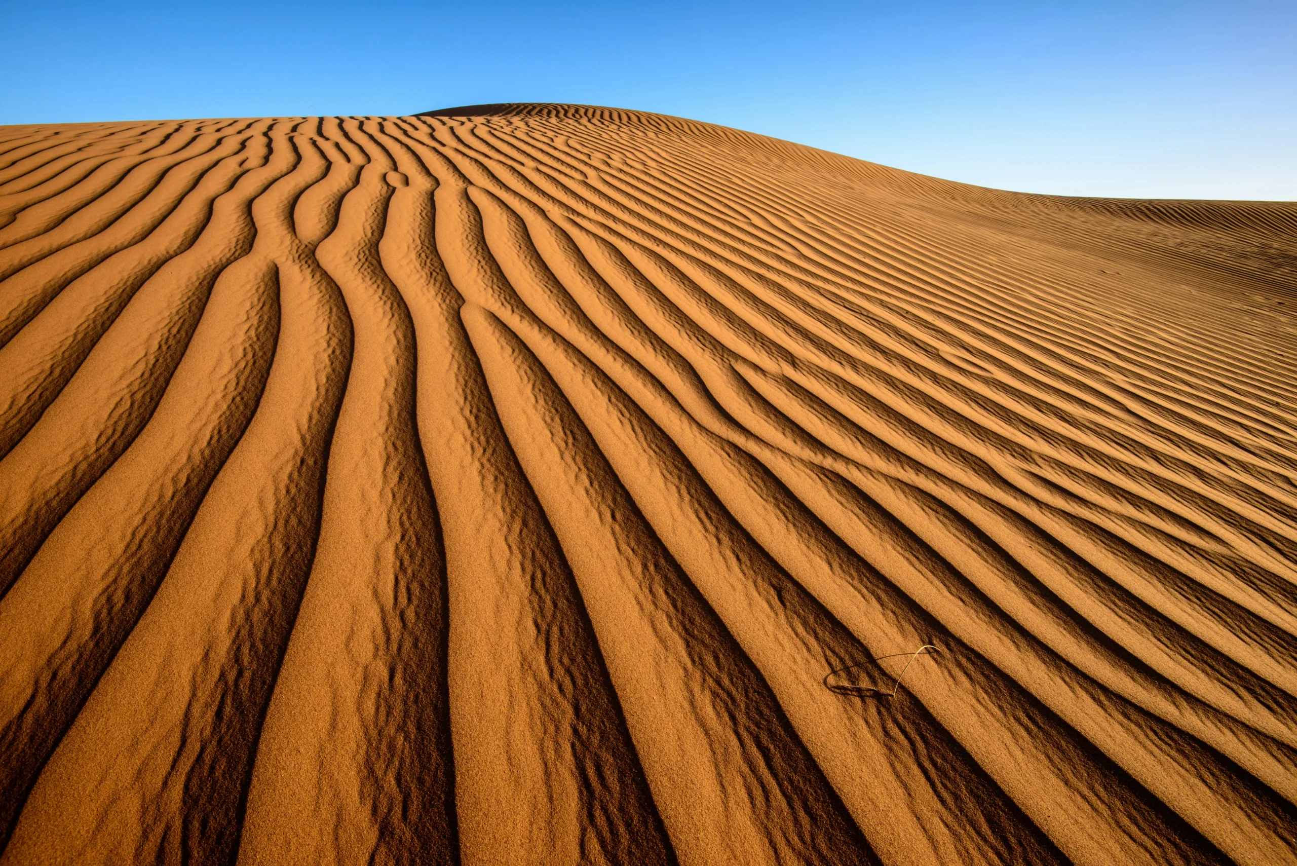 Things to do in Zagora