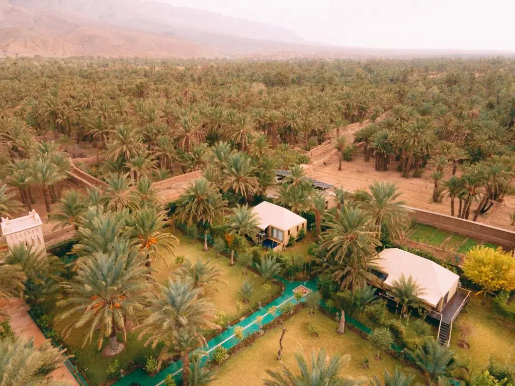 Things to do in Zagora