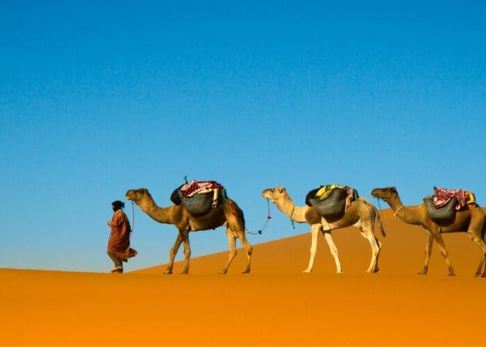 3 days desert tour errachidia to merzouga