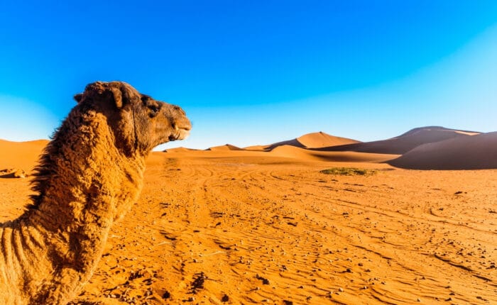 2 Days Desert tour from Errachidia to Merzouga