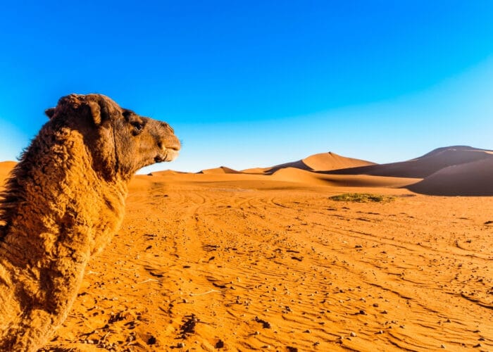 2 Days Desert tour from Errachidia to Merzouga