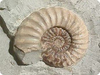 Morocco Mineral Hunting Tours