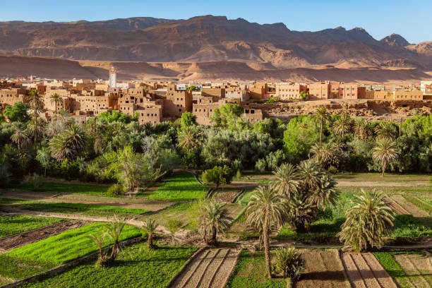 When is the Best Time to Visit the Sahara Desert