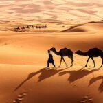 What a Sahara Desert Tour Is Really Like - A Complete First-Timer’s Guide